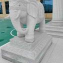 海口 白麻花岗岩动物异形石雕-大象