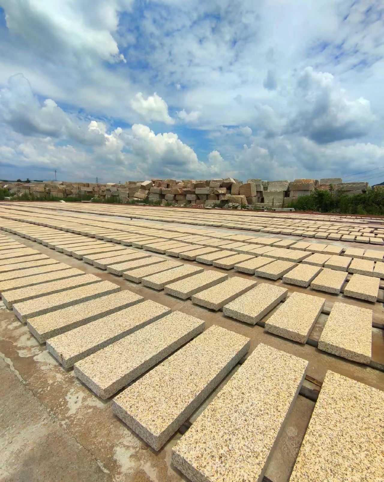 海口 黄金麻花岗岩荔枝面地铺石防护中