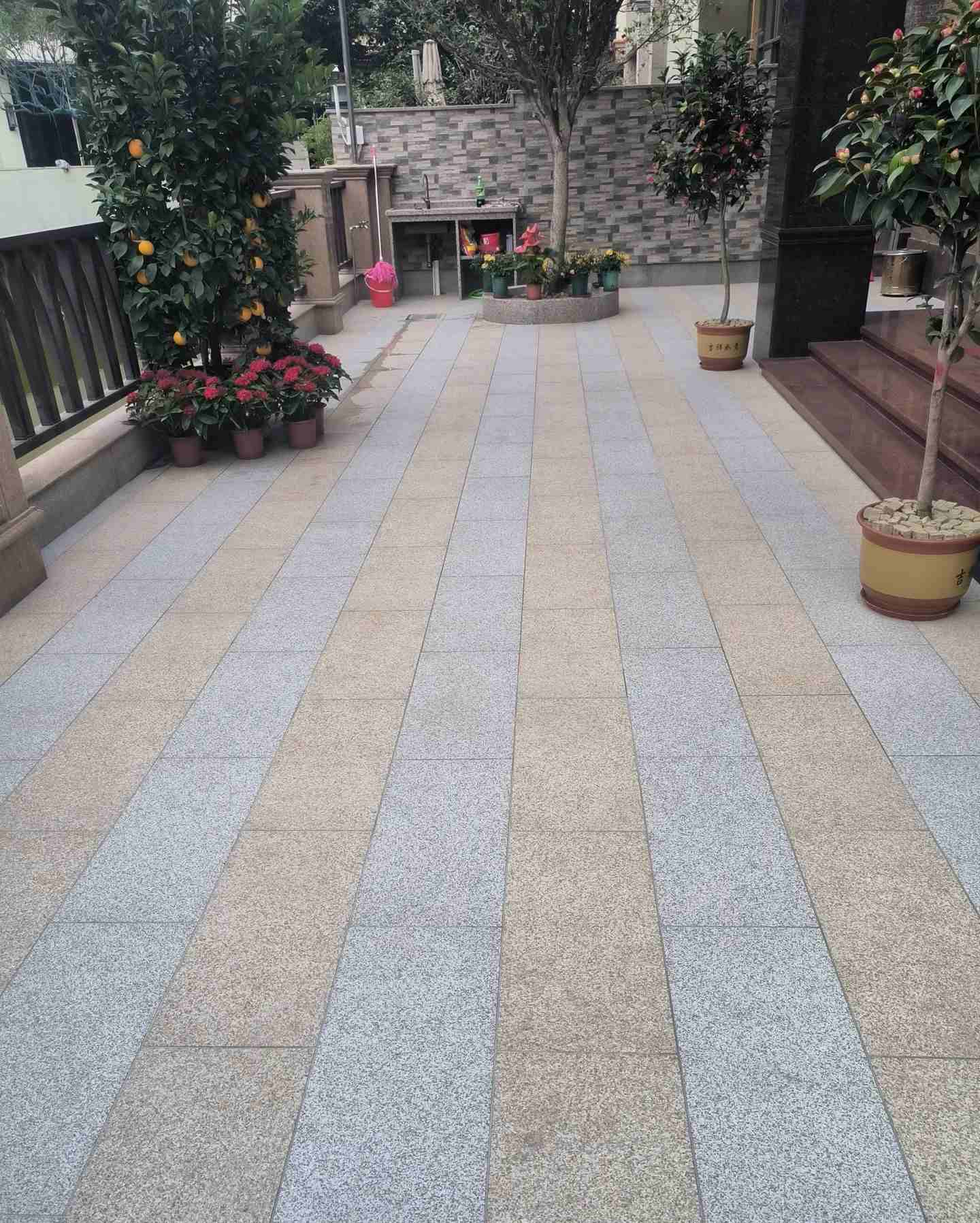 海口 黄金麻白麻荔枝面庭院铺装展示